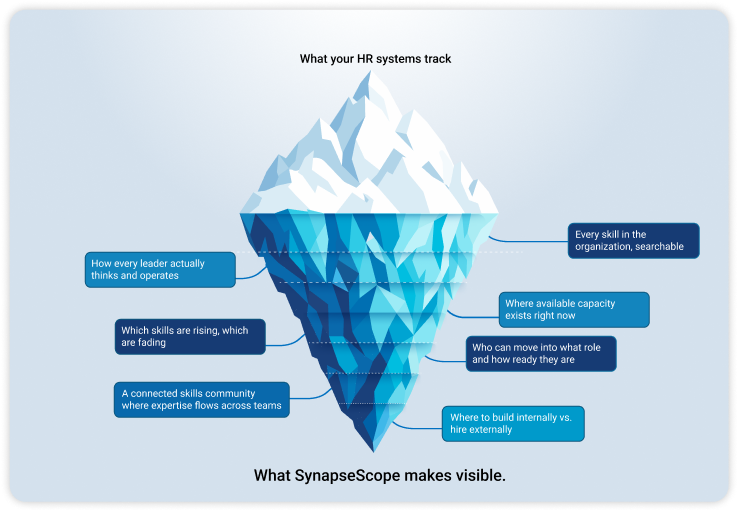 What your HR system tracks vs What SynapseScope makes visible